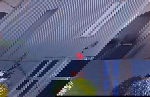 Baby Love Shack - Foto 38