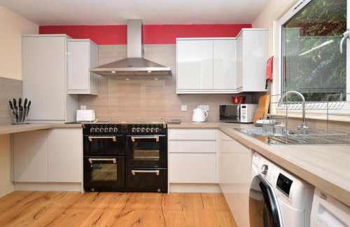 Pedals and Paddles - Foto 8