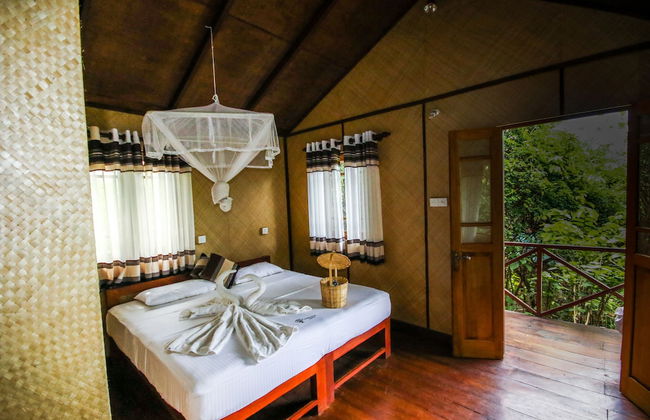 Thick forest sigiriya - Photo 9