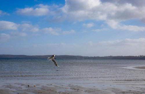 Ferienwohnung Glücks-Burg "Sonne" - Foto 20