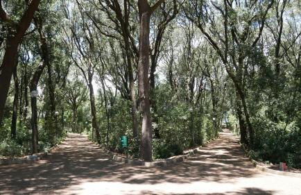 Casa Carolina - Foto 20