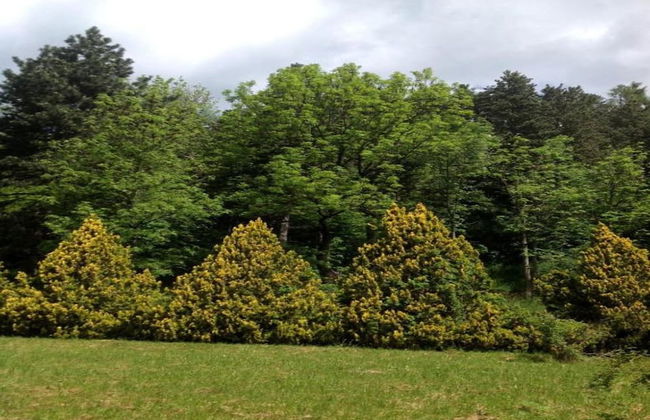 Alpine Comfort Stay, Cavalese - Foto 41