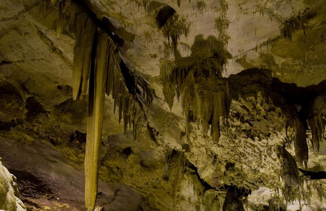 Tour in Saint-Pé-de-Bigorre - Photo 1