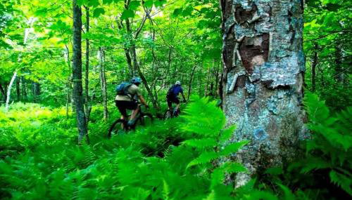 Beech Mountain Adventure Basecamp, Hike, Bike, Blue Ridge Trails and More - Foto 2