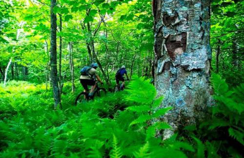 Beech Mountain Adventure Basecamp, Hike, Bike, Blue Ridge Trails and More - Foto 2