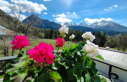 Villa Salagona - Photo 41