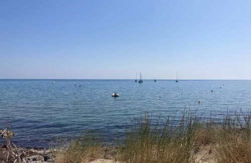 La franqui , nouveau , Duplex pour 2 ou 3 ,piscine, mer ,soleil , station familiale - Foto 29