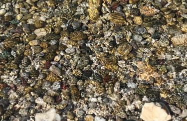 Apartments Six - Photo 69