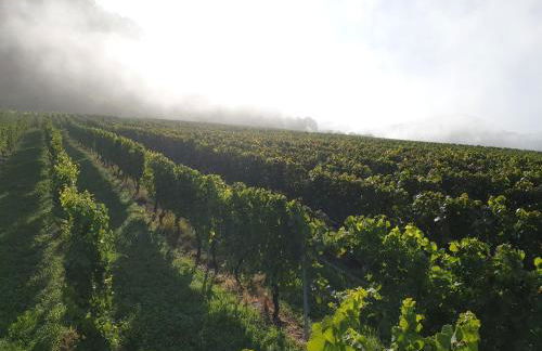 Studio 22, Terrasse,Pool,Sauna,Ofen - Foto 24