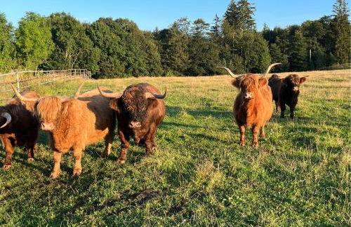 Ferienwohnung Hagert - Ankommen und Wohlfühlen - Foto 15