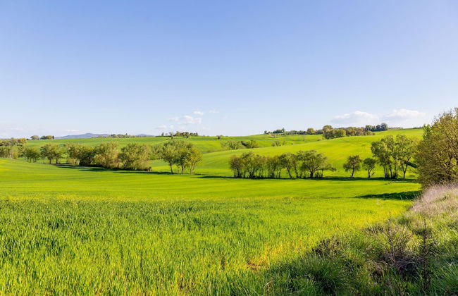 Myrtle apt With Shared Pool - Foto 26