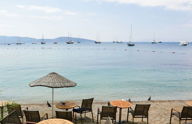 Surfer Caravan Gastro Pub and Suites - Foto 26