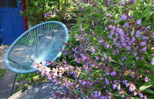 Haus im Grünen - Foto 9