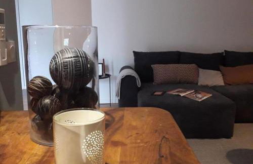 Gîte contemporain côté Sioule à Ébreuil, 4 pers, jardin - FR-1-489-551 - Foto 11