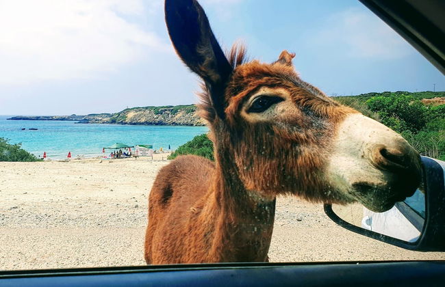 Sunny and Family Friendly Apartment Directly at the Pool - Foto 48