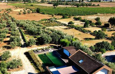 Quinta da Sra Marocas - Foto 16