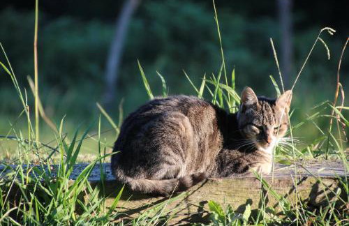 Gane Landetxea - Foto 15