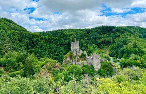 Maison Manderscheid, Vulkaneifel - Foto 10
