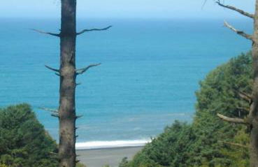 Dolphin by OceanviewHotTubs Oceanfront Shelter Cove Tesla - Foto 22