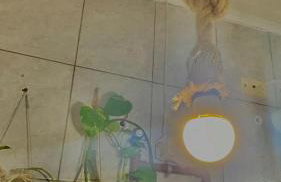 Casa Refúgio Cataratas by Grasi - Foto 41