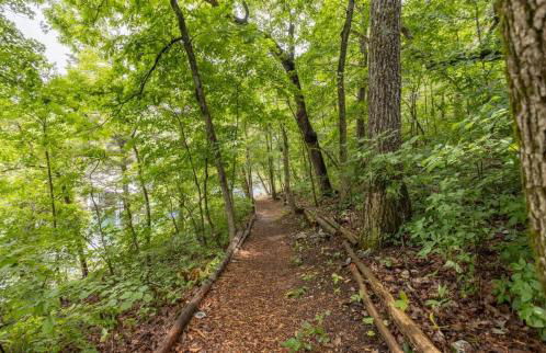 Table Rock Lake Cabin - Sassafras #14 with Lake Access Hot Tub Outdoor Pool - Foto 32