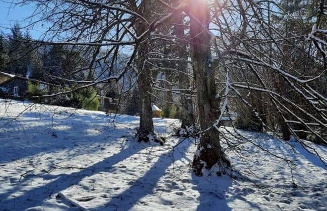 House in Vosges Near Forest and Hiking Trails - Photo 38