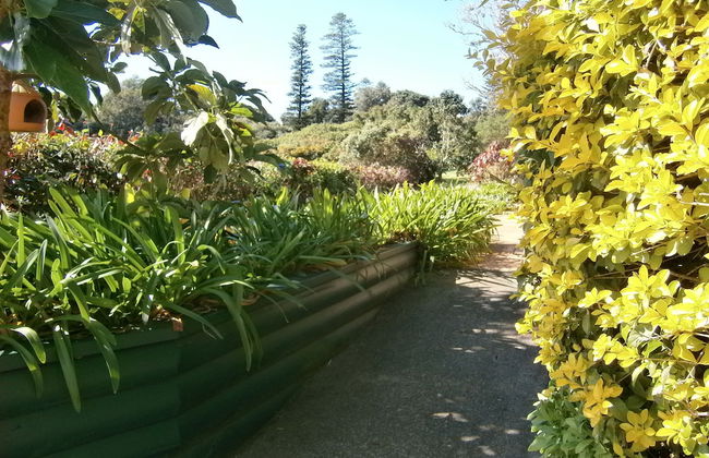 Norfolk Holiday Apartments - Foto 19