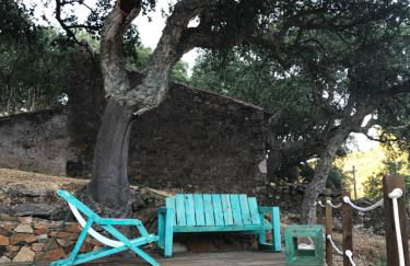 Azeite de Marvão, Olivoturismo casa Mestre do Lagar - Foto 22