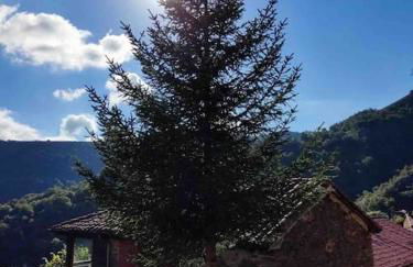 L'Aldeaperdida - Foto 17