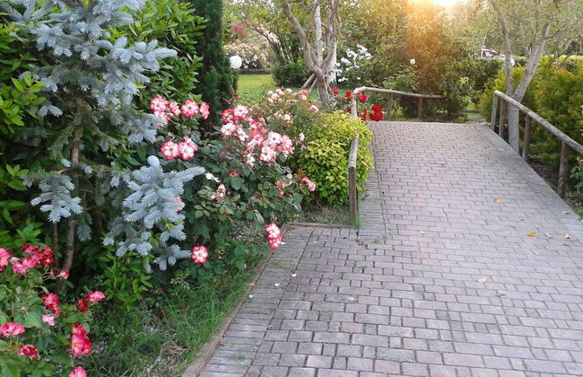 Fattoria Belvedere - Photo 32