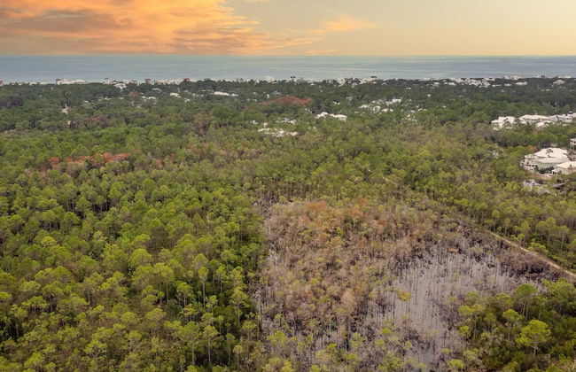 Pearl by Avantstay Idyllic Seaside Getaway w/ 2 Large Decks & Lush Garden - Foto 37