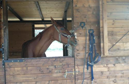 Agriturismo Il Paradiso - Foto 144