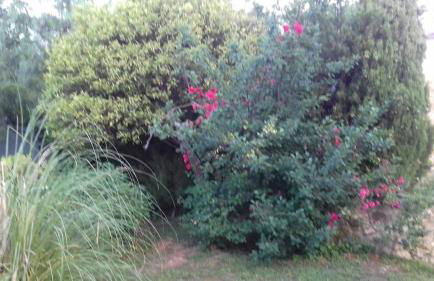 Casas de Almajar - Foto 35