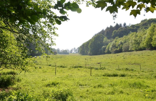 Grand Mill Stay in Anhee - Foto 31