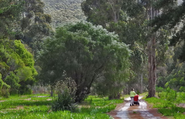 Cape Howe Cottages - Foto 73