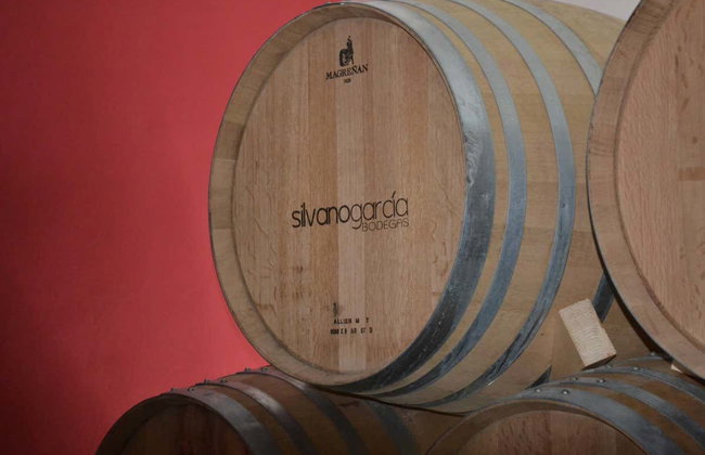 Visita a las bodegas Silvano García - Foto 4