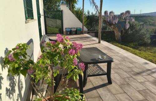 All'ombra del pino ALLOGGIO TURISTICO - Foto 11