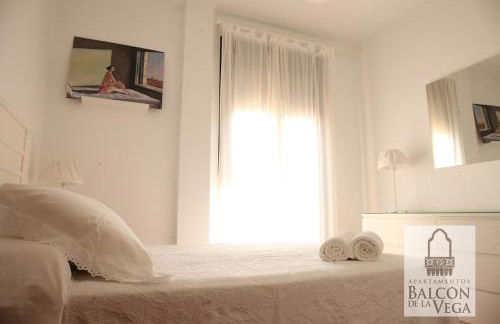 Apartamentos Balcón de la Vega - Foto 18