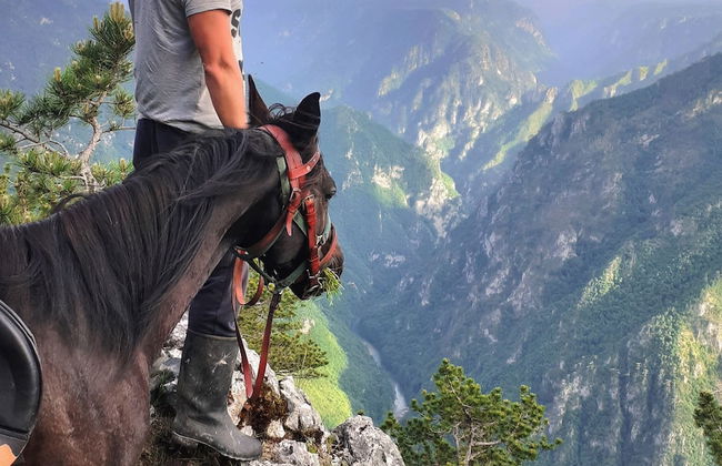 Rafting Camp Encijan - Photo 44