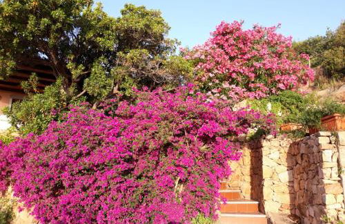 Appartamento Oleandro - Foto 20