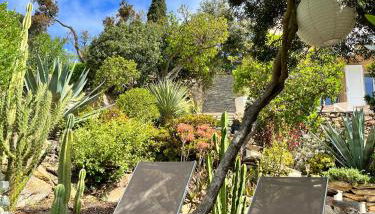 La roche aux mouettes Ile du Levant - Foto 4