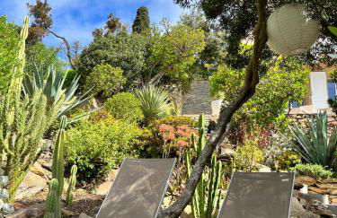 La roche aux mouettes Ile du Levant - Foto 4