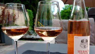 Ruff un Runner - Foto 2, Garden