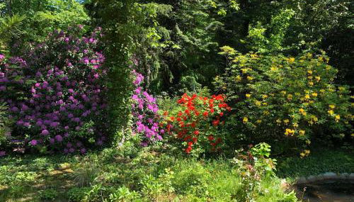 Ferienhaus Hudemühlen - Foto 5