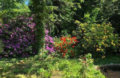 Ferienhaus Hudemühlen - Photo 5