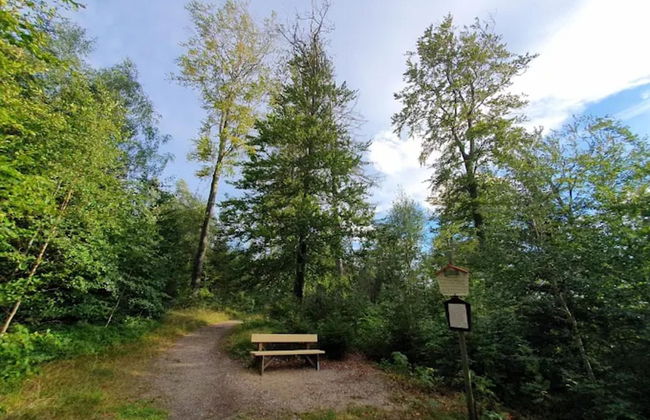 Holiday Homes in the Schierke Harzresort, Schierke - Photo 70