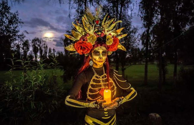 Tour del Día de Muertos por Xochimilco con cena - Foto 6