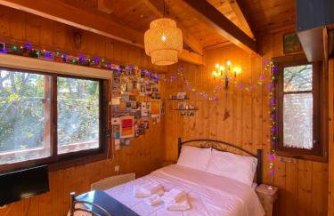 Η Χαρούμενη Αρκούδα - Foto 12