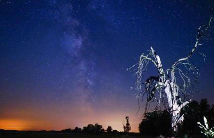 Ferienwohnung-Esel - Foto 11