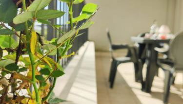 Casa D'Ambra - Foto 4